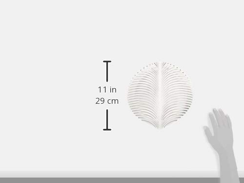 Amazon.co.jp: ナハトマン ダンシングスター プレート 27cm マンボ